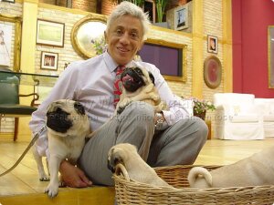 clodovil  e  seus pugs