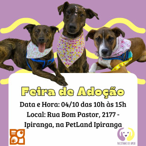 PHOTO-2025-09-20-14-05-57